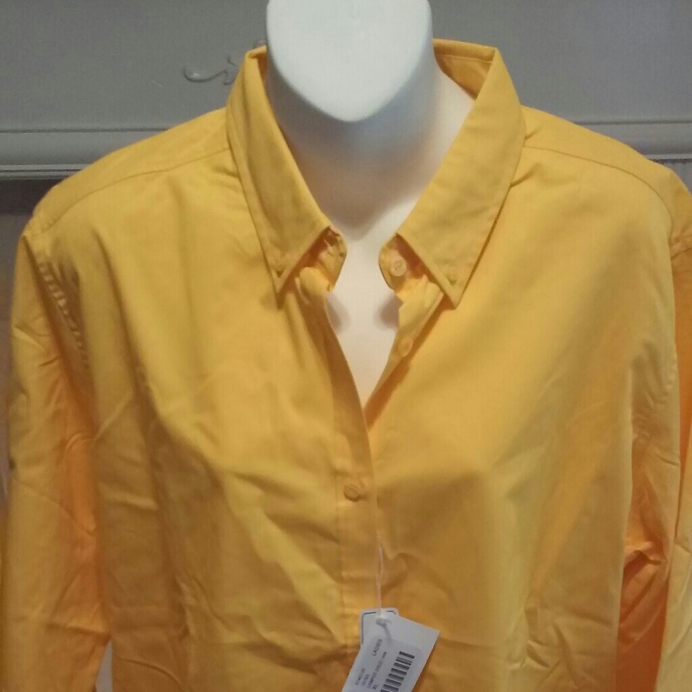 Core 365 Ladies Long Sleeve Twill Shirt